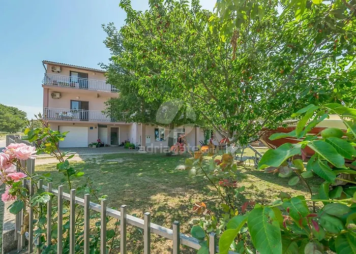 Bozo * Biograd Na Moru